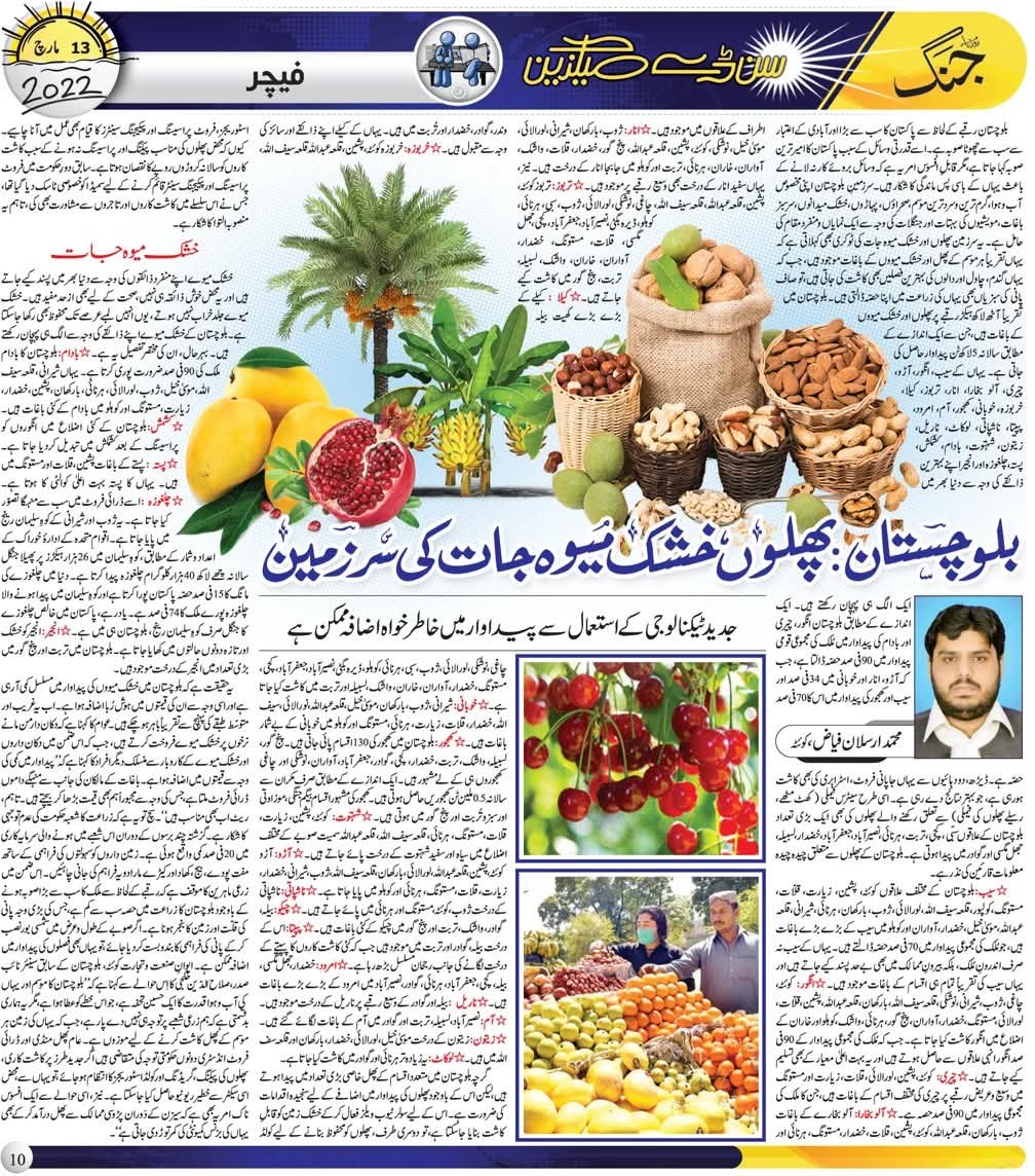 بلوچستان: پھلوں، خشک میوہ جات کی سُرزمین