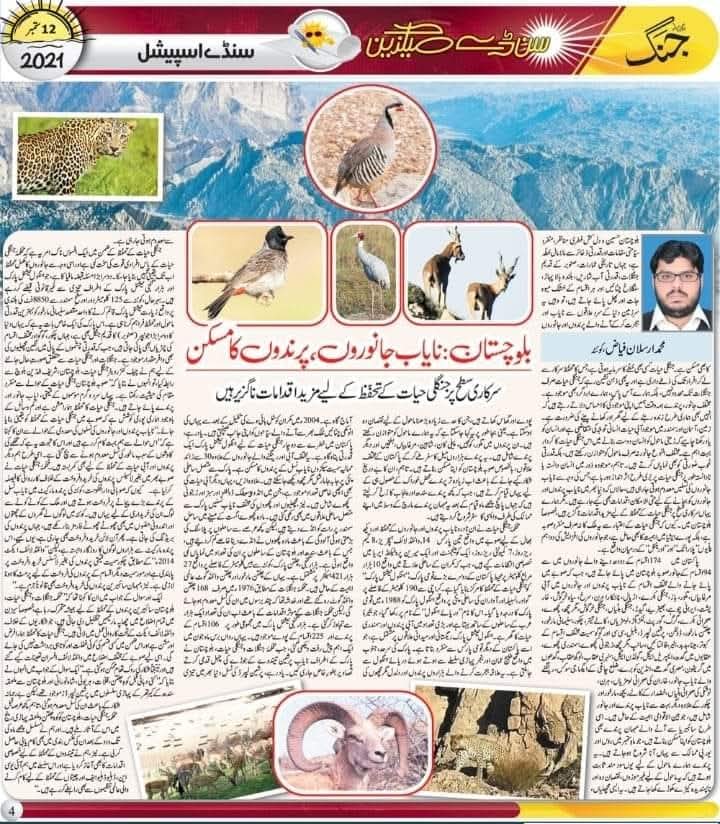 بلوچستان: نایاب جانوروں، پرندوں کا مسکن